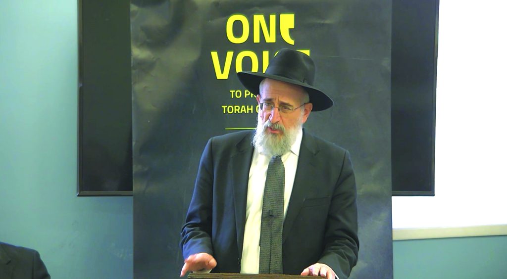 Harav Yisroel Reisman to Endorse Zeldin For Governor, Highlighting Yeshiva Issue - Hamodia.com